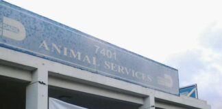 Animal Shelter Story Animal Shelter Located in Medley