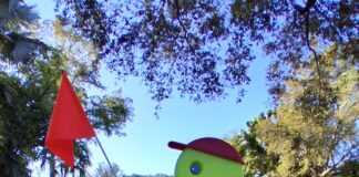 Slow And Steady, Set Your Pace For 2026