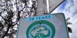 Miami Springs Reclaims Tree City USA Status – Why It Matters