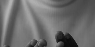 About Nonviolence By Rev. Dr. Daniel Medina