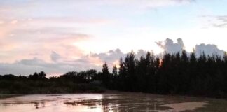 The Birth Of The Mysterious Clay Pit
